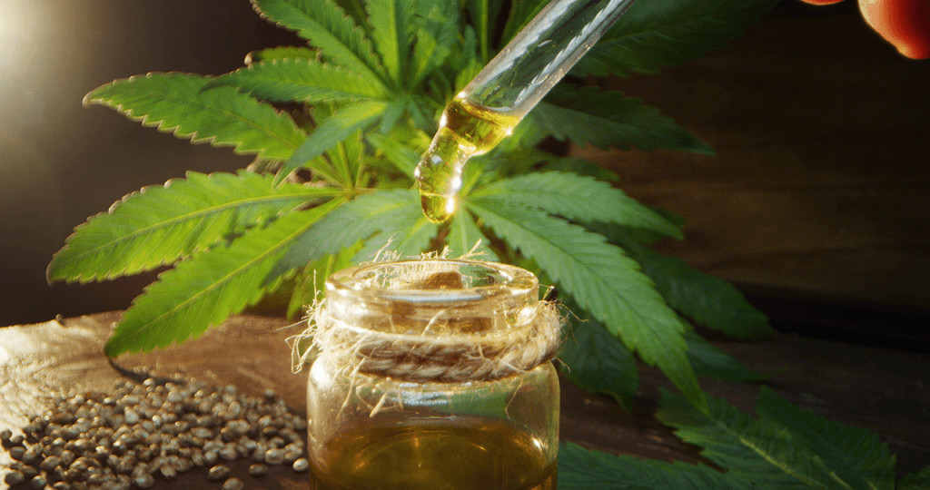 Olej CBD 5% – najpopularniejsze stężenie wśród olejków konopnych
