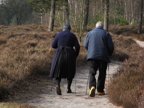 Dieta ubogopurynowa w dnie moczanowej - Artretyzm czyli dna moczanowa